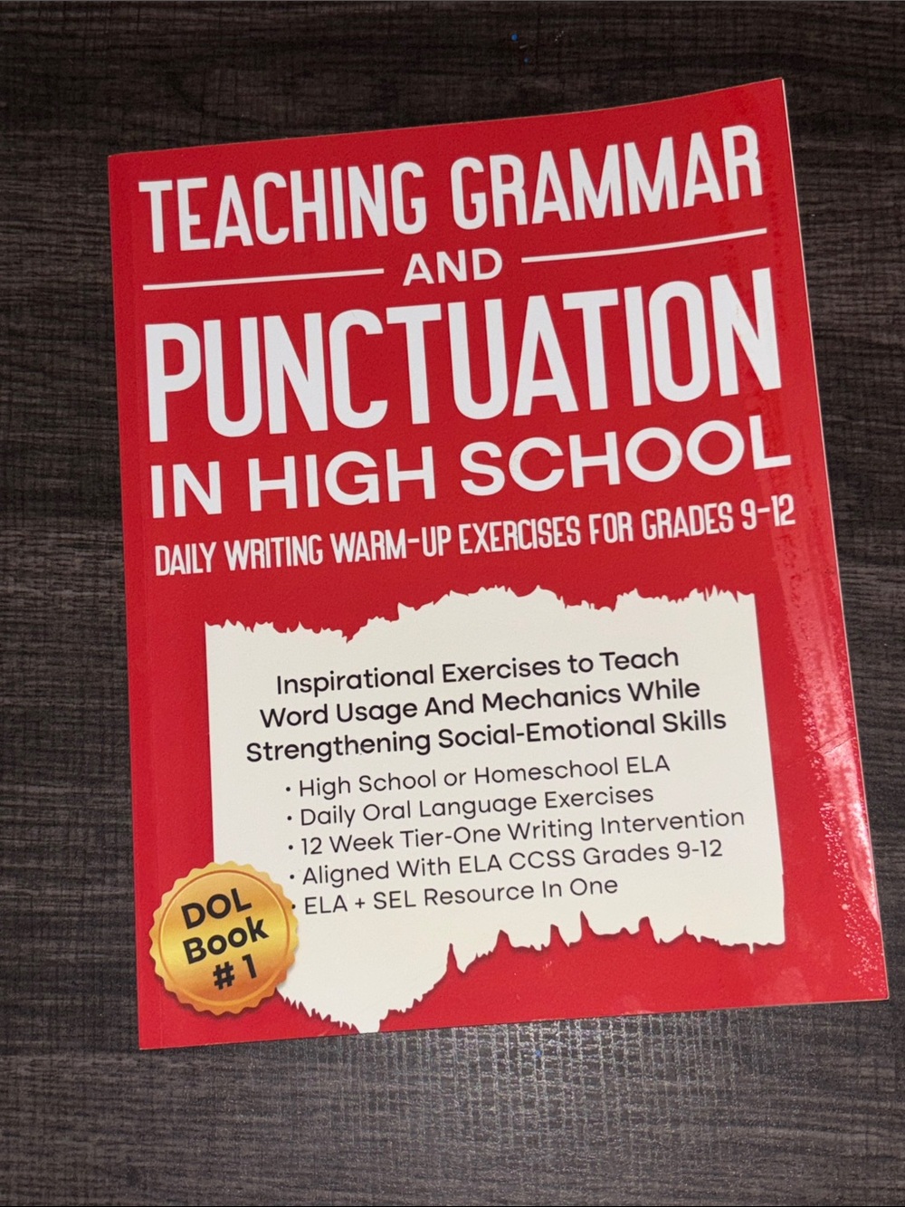 Teaching Grammar and Punctuation in High School - Red Educational Workbook